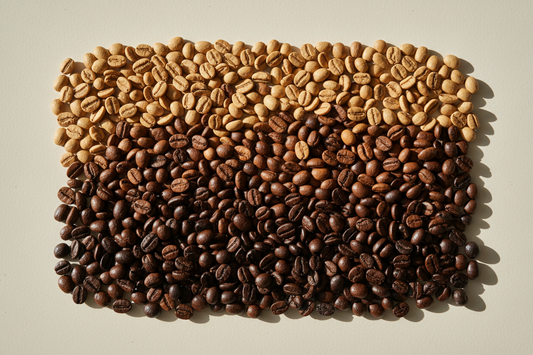 The Beginner's Guide to Coffee Roast Levels (Light, Medium, Dark)