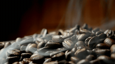 A Guide to Single Origin Coffee: What Makes Each Region Unique