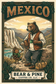 Bear & Pine Mexico medium roast coffee artwork featuring a bear and his pinecone friend overlooking mineral waterfalls and mountain valleys.
